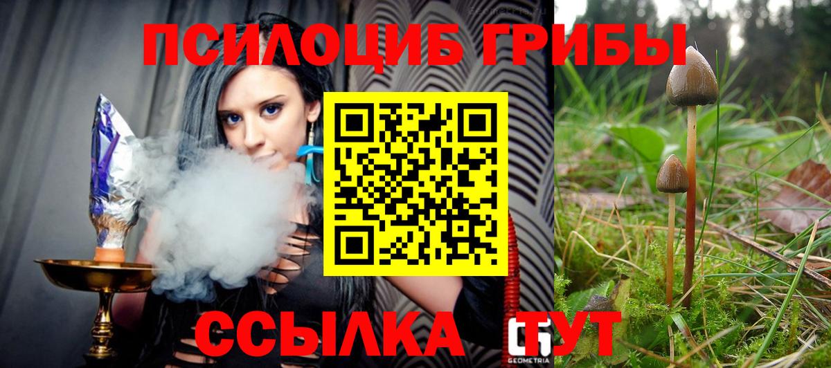Муром  Псилоцибиновые грибы мицелий  Вход с VPN 